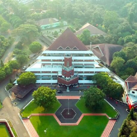 IPB University